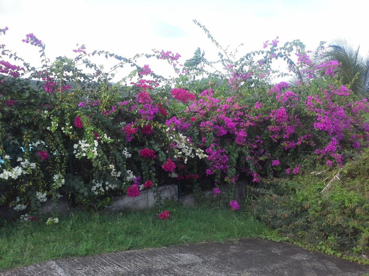Chez Rosy Le Robert Exterior foto